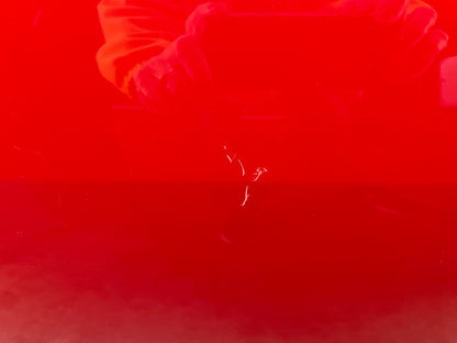 2009 Pontiac G8 GT RH Passenger Front Exterior Door Red OEM