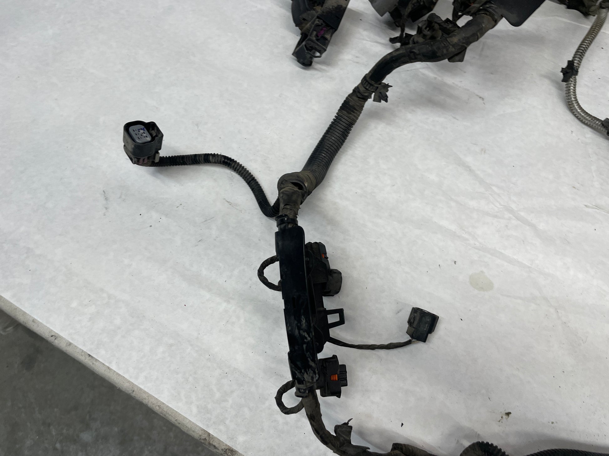 2008 Pontiac G8 Base Front Chassis Engine Bay Fire Wall Wire Wiring Harness OEM - Day's Parts Yard