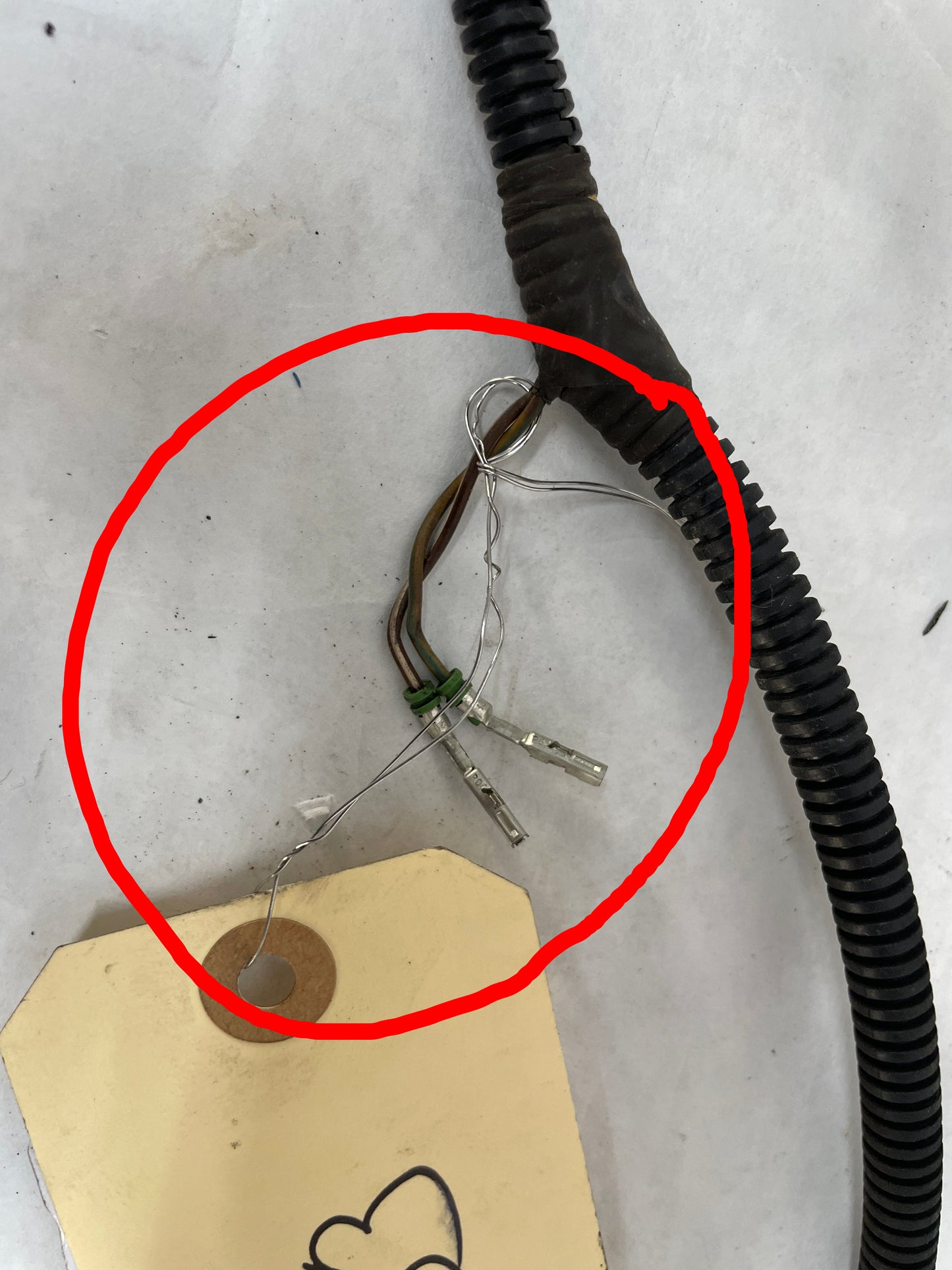 2013 Chevy Caprice PPV Engine Automatic Transmission Wire Wiring Harness OEM