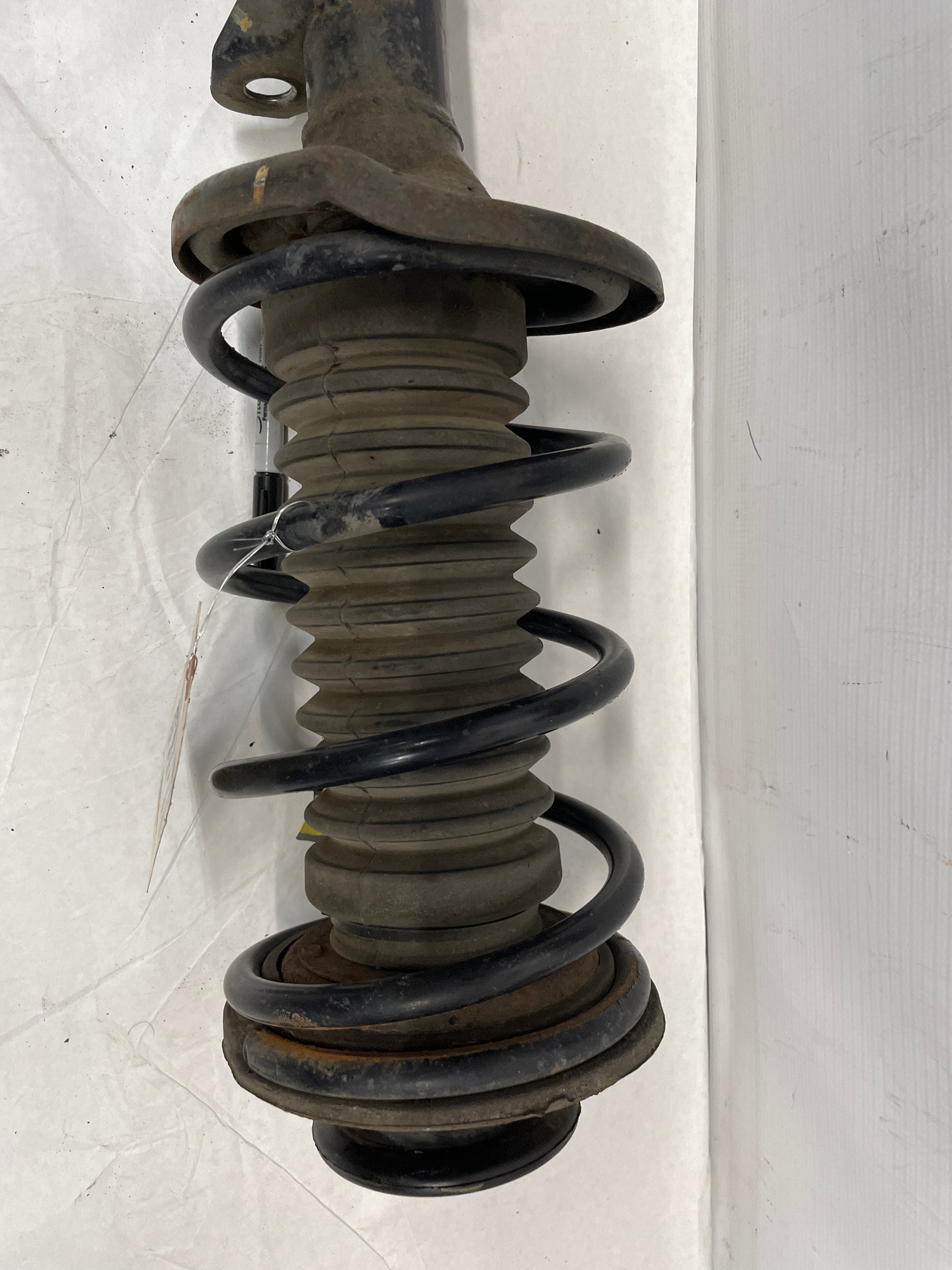 2005 Pontiac GTO LH Driver Front Strut Assembly OEM - Day's Parts Yard