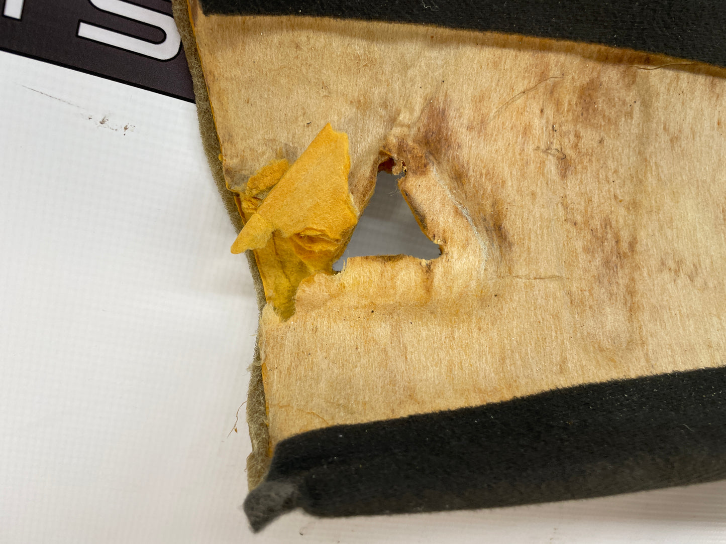 2001 Pontiac Trans AM WS6 Ebony Black T-Top Head Liner Headliner OEM