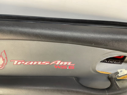 2001 Pontiac Trans AM WS6 RH & LH Front Interior Door Panels OEM