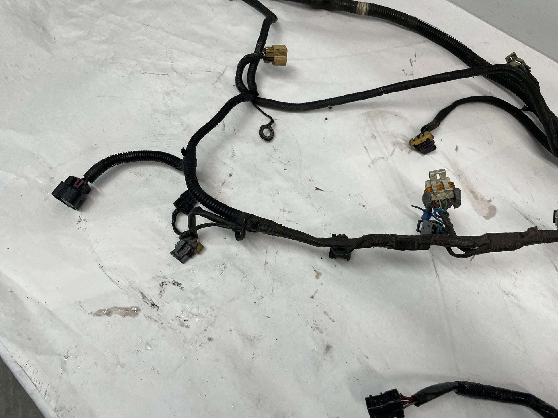 2005 Pontiac GTO Engine Motor Manual Transmission Wire Wiring Harness OEM - Day's Parts Yard
