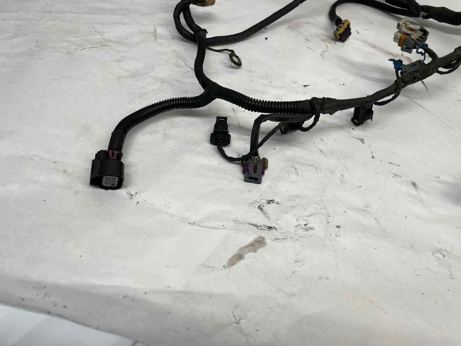 2005 Pontiac GTO Engine Motor Manual Transmission Wire Wiring Harness OEM - Day's Parts Yard
