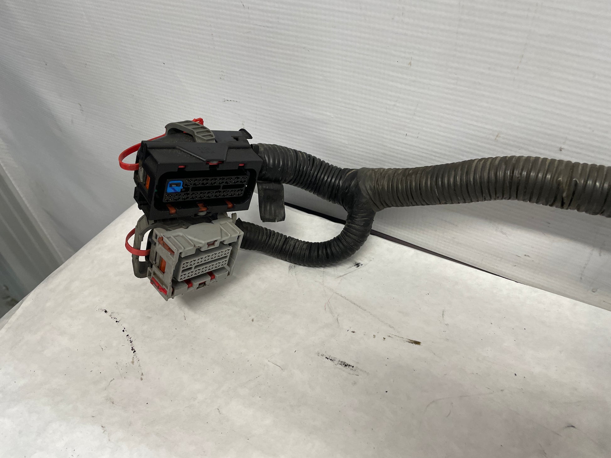 2006 Pontiac GTO Engine Motor Manual Transmission Wire Wiring Harness OEM - Day's Parts Yard