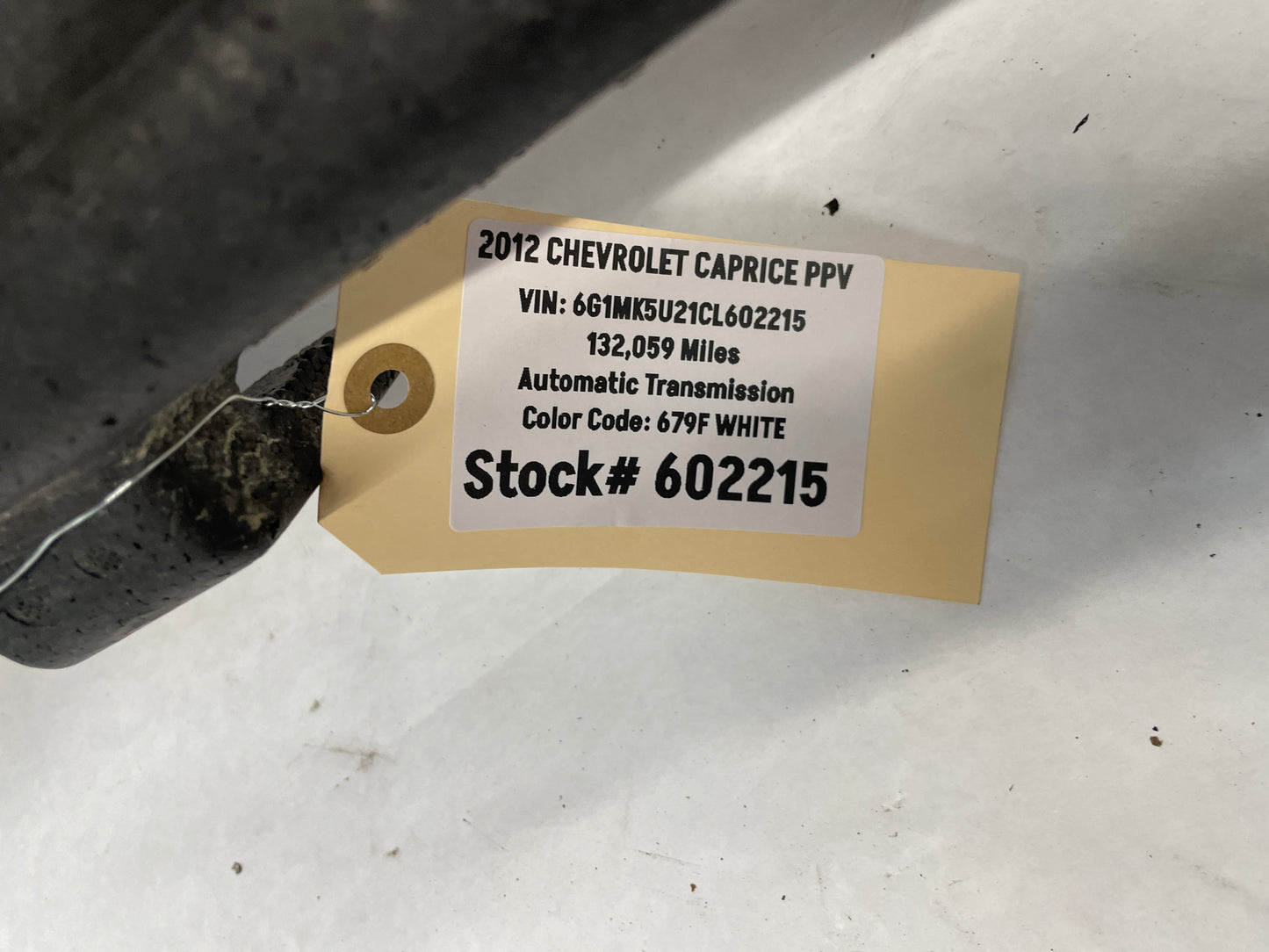 2012 Chevy Caprice PPV Rear Bumper Energy Impact Foam Absorber OEM