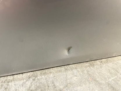 2015 Chevy SS Sedan RH Passenger Exterior Rear Door Silver OEM