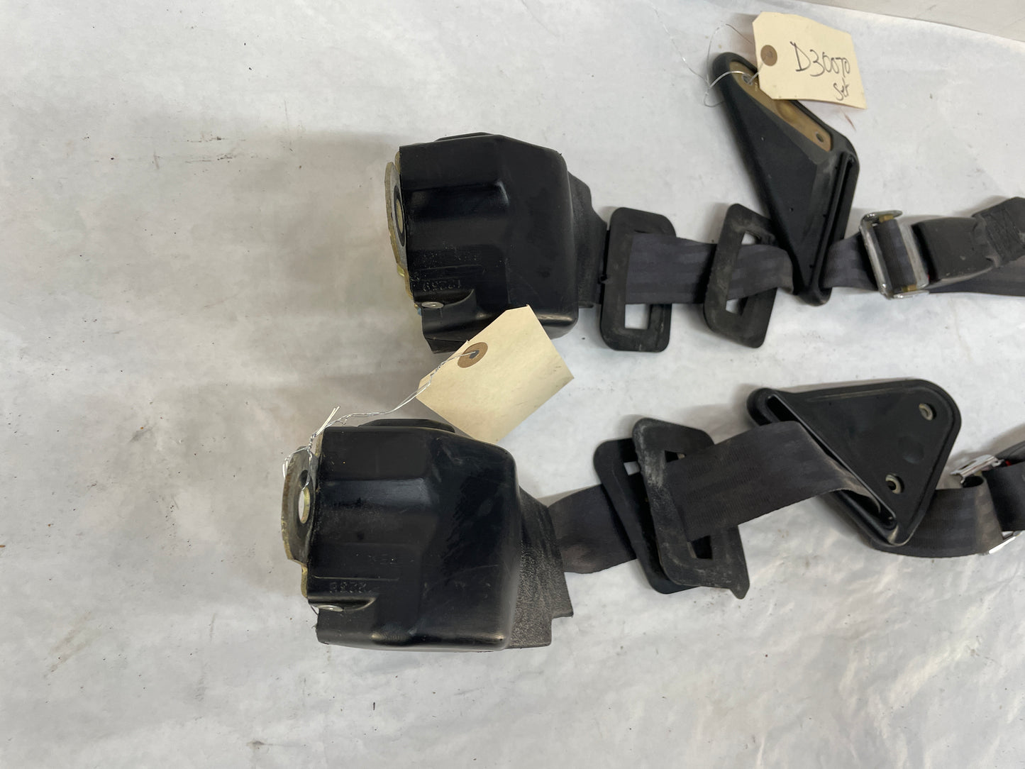 2001 Pontiac Firebird Trans AM WS6 Rear Seat Belt Seatbelt Buckle Retractors Ebony Black OEM - Day's Parts Yard