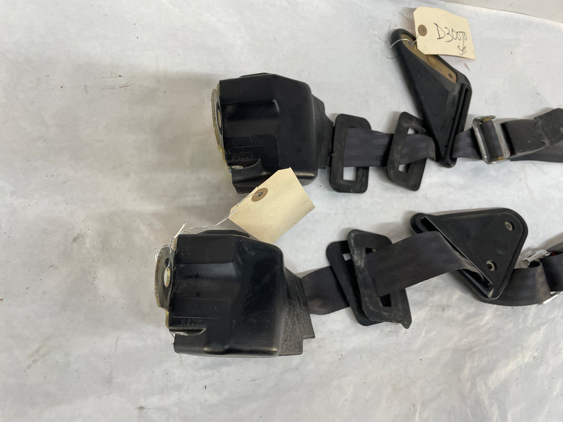 2001 Pontiac Firebird Trans AM WS6 Rear Seat Belt Seatbelt Buckle Retractors Ebony Black OEM - Day's Parts Yard
