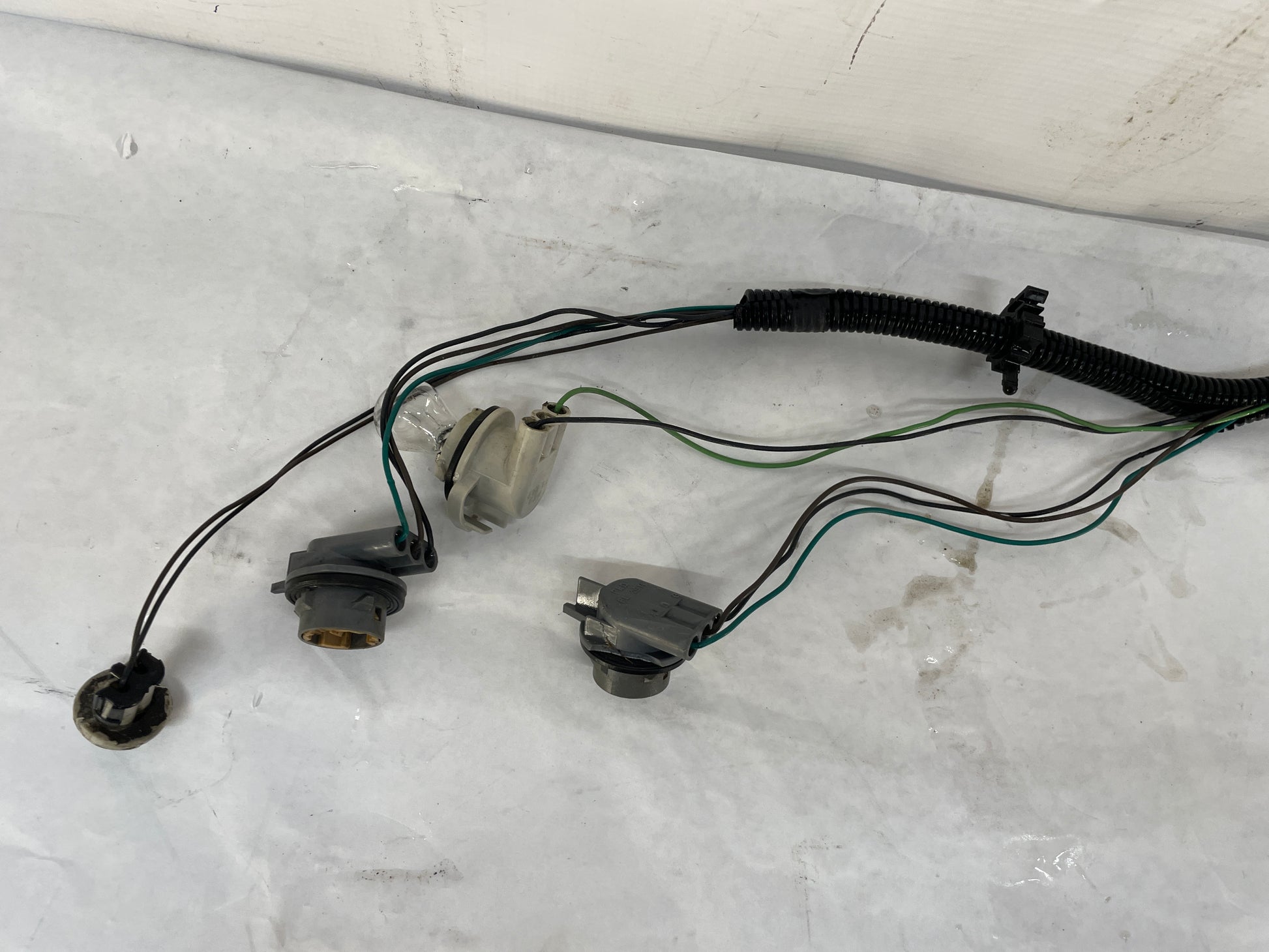 2001 Pontiac Trans AM WS6 Taillight Tail Light Wire Wiring Harness OEM - Day's Parts Yard