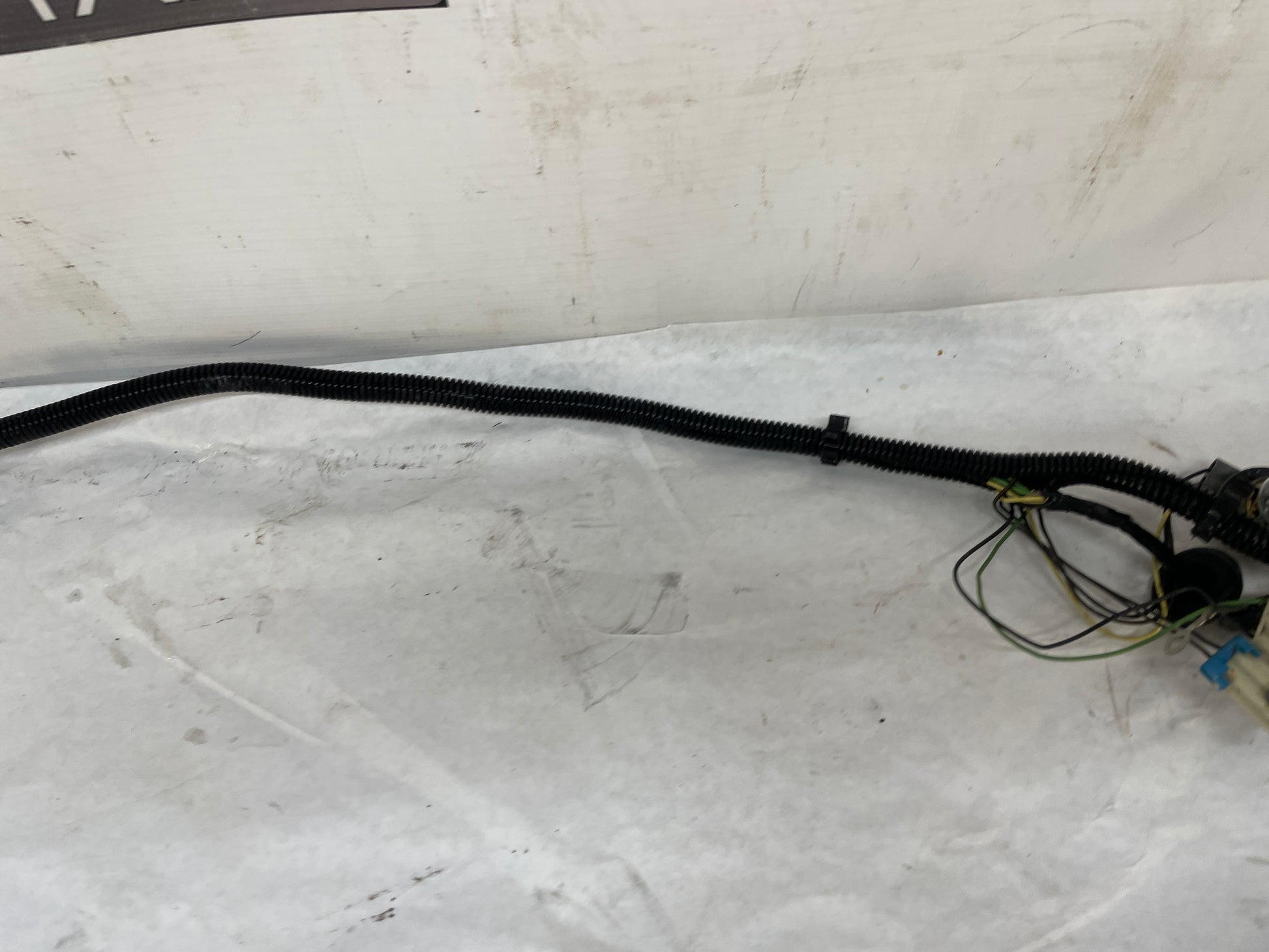 2001 Pontiac Trans AM WS6 Taillight Tail Light Wire Wiring Harness OEM - Day's Parts Yard