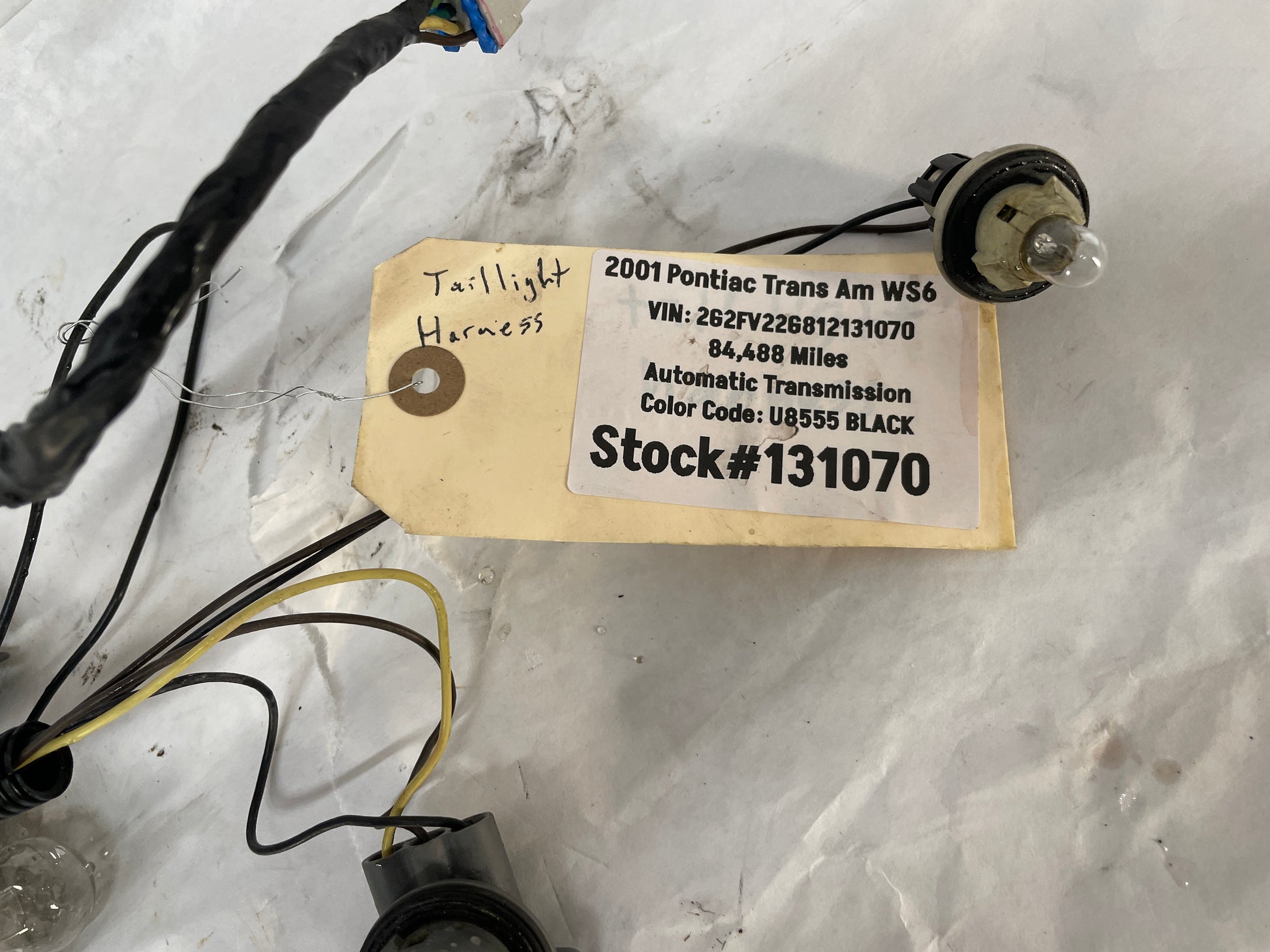 2001 Pontiac Trans AM WS6 Taillight Tail Light Wire Wiring Harness OEM - Day's Parts Yard