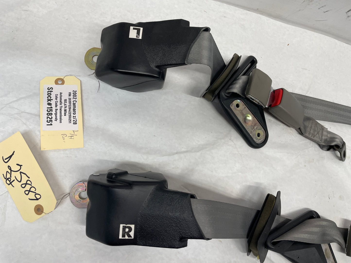 2002 Chevy Camaro Z28 Rear Seatbelt Seat Belts Retractors w/ Buckles OEM Gray Grey - Day's Parts Yard
