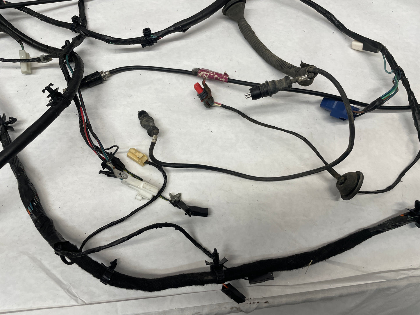 2006 Pontiac GTO Body Wire Wiring Harness OEM - Day's Parts Yard