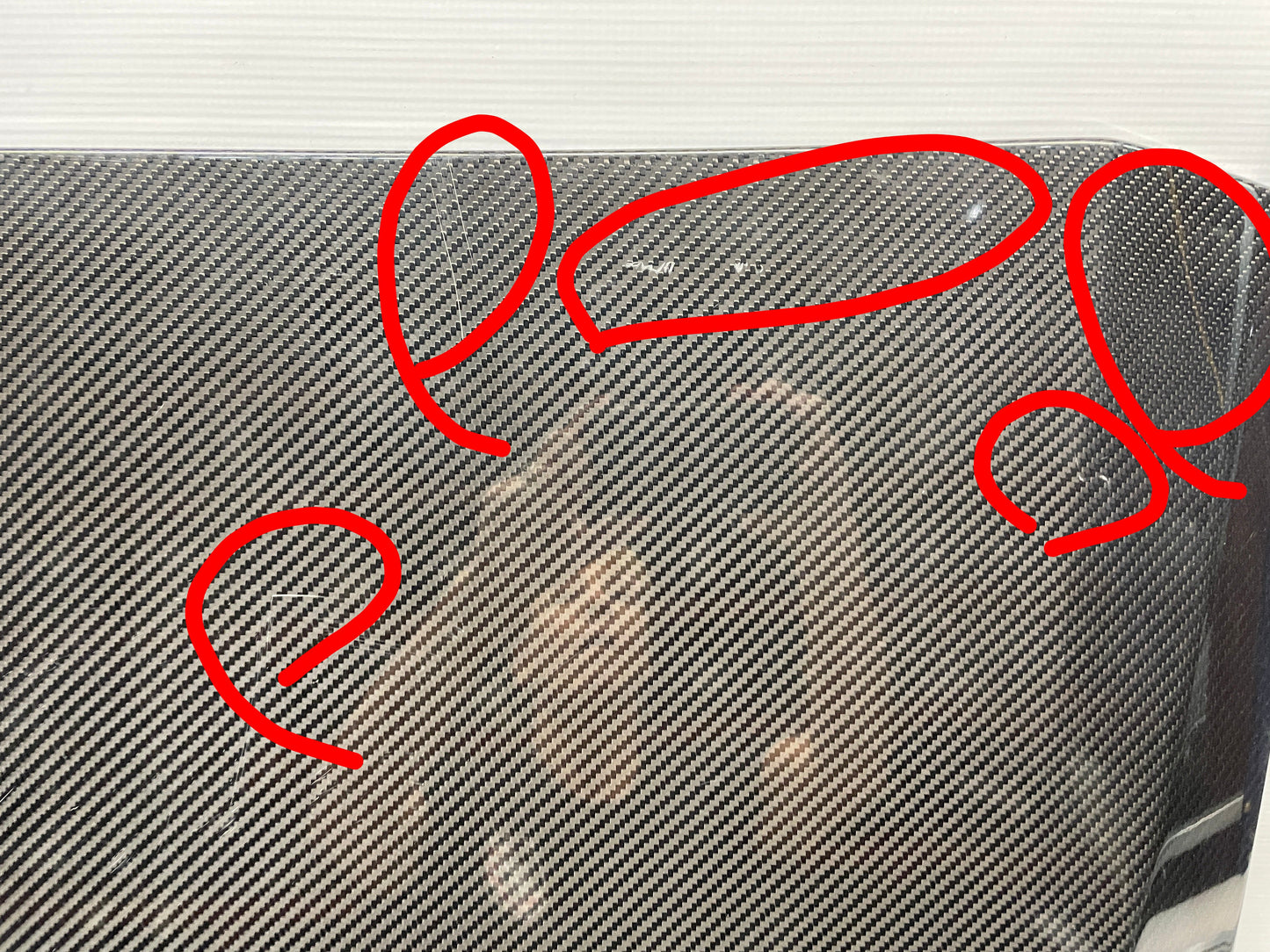 2019 Chevy Camaro ZL1 1LE Carbon Fiber Hood Insert OEM