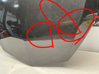 2019 Chevy Camaro ZL1 1LE Carbon Fiber Hood Insert OEM