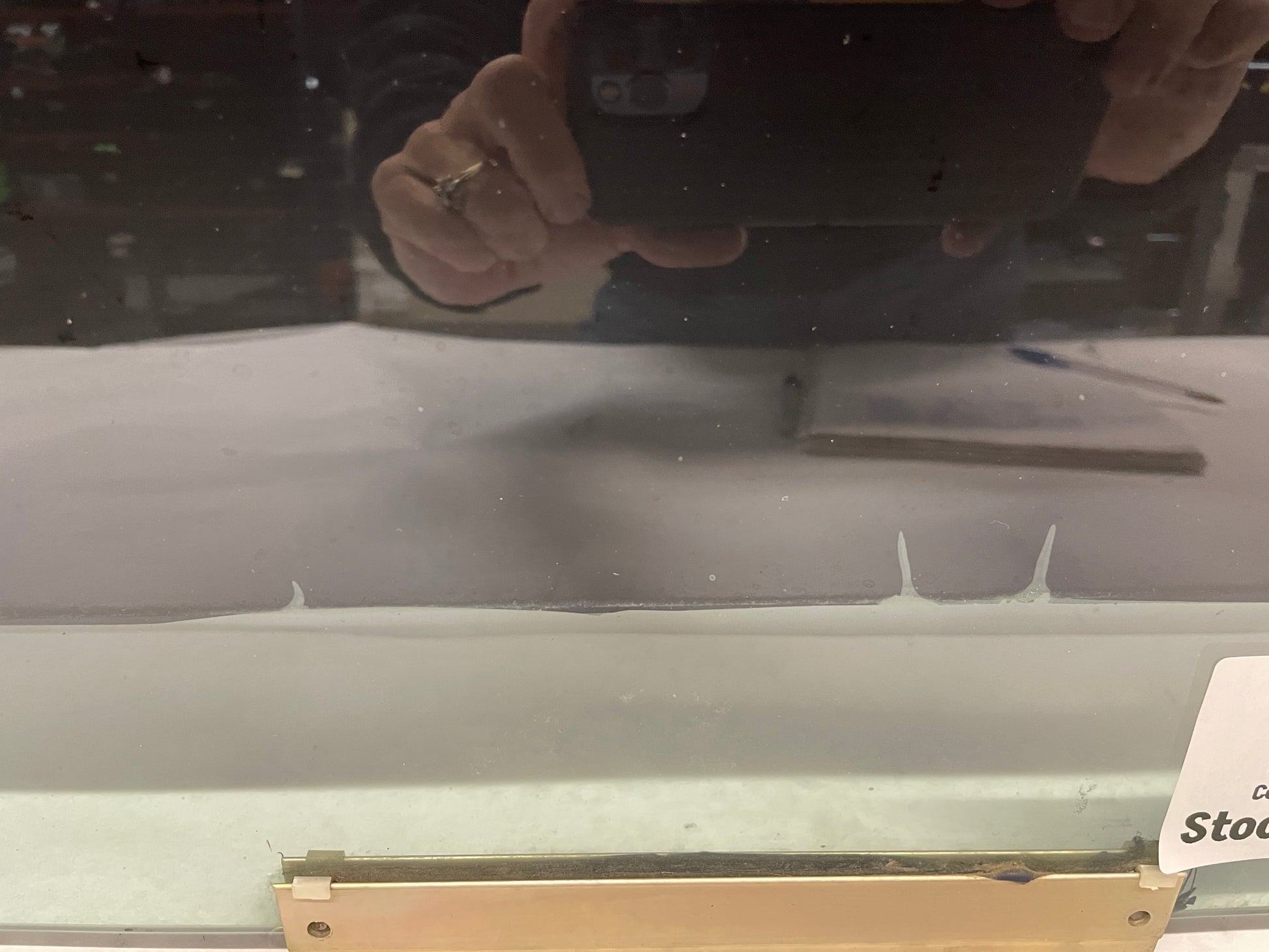 2004 Pontiac GTO LH Driver Front Door Window Glass OEM - Day's Parts Yard