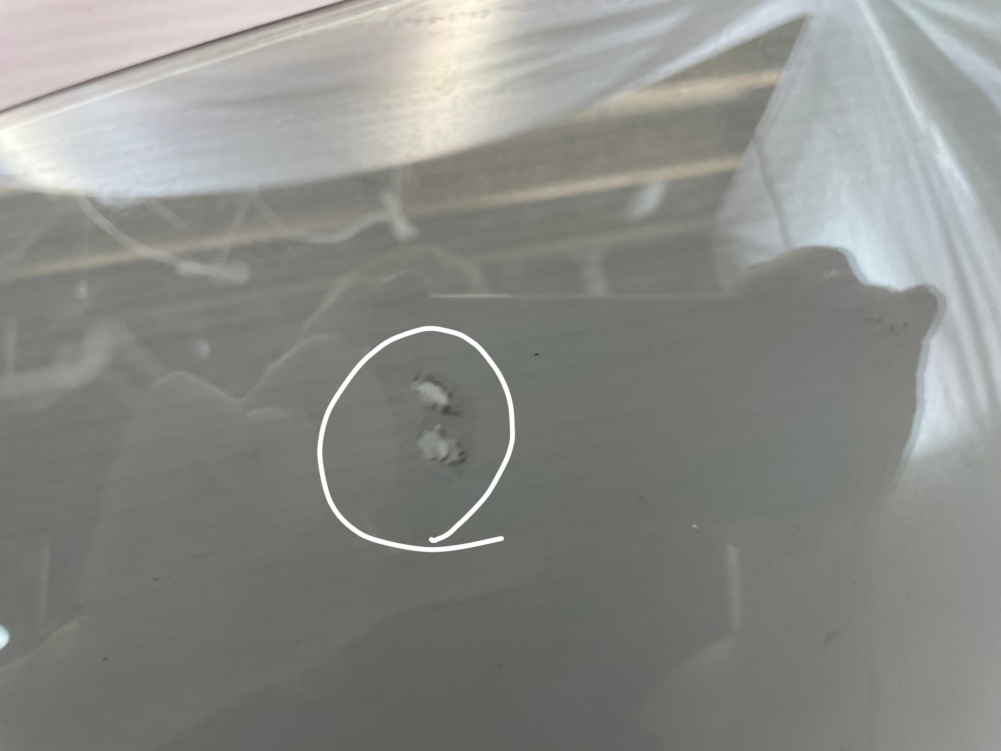 2009 Pontiac G8 Base Front LH Driver Door Window Glass OEM - Day's Parts Yard
