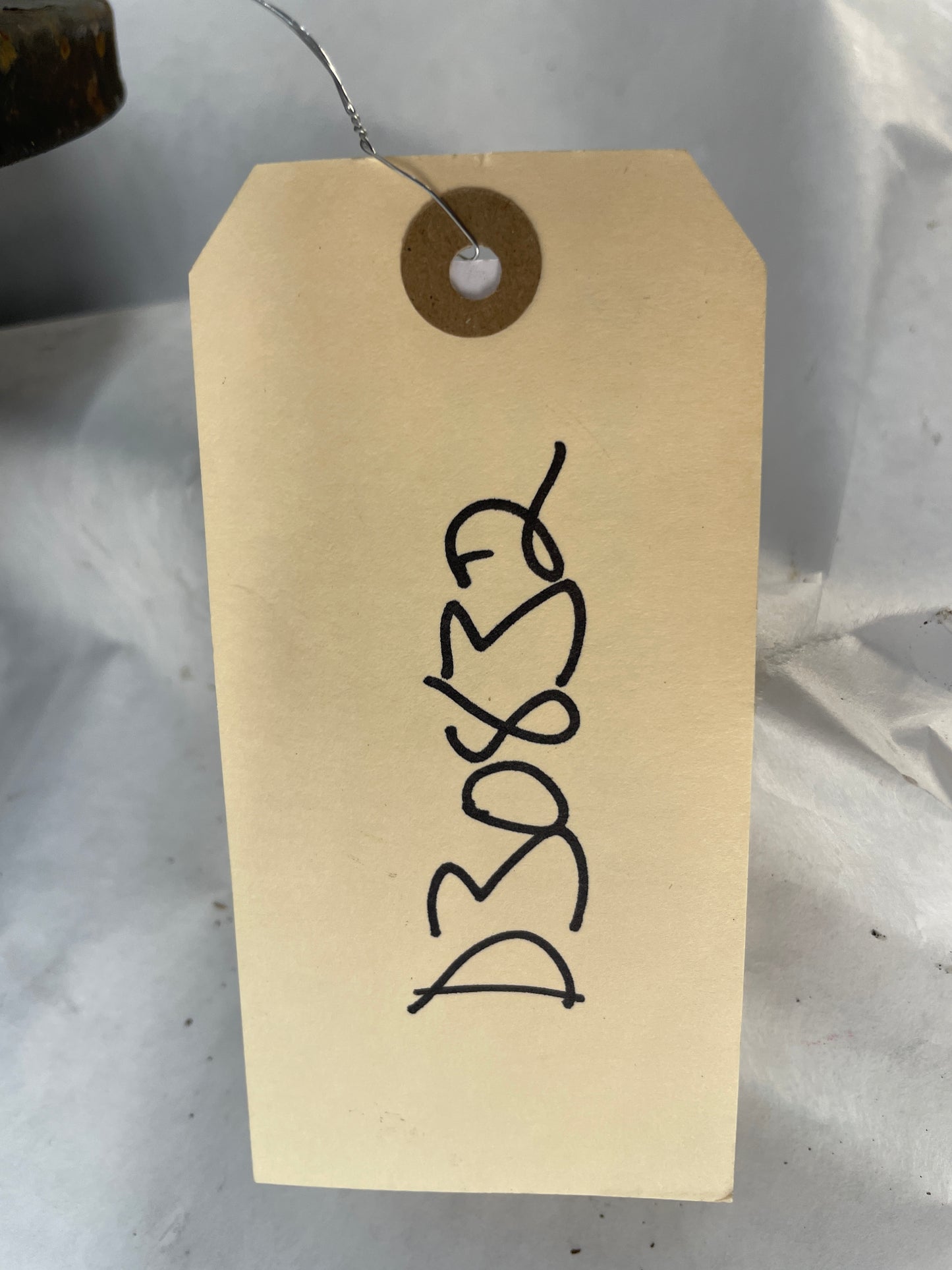 2004 Pontiac GTO RH Passenger Rear Suspension Trailing Control Arm OEM