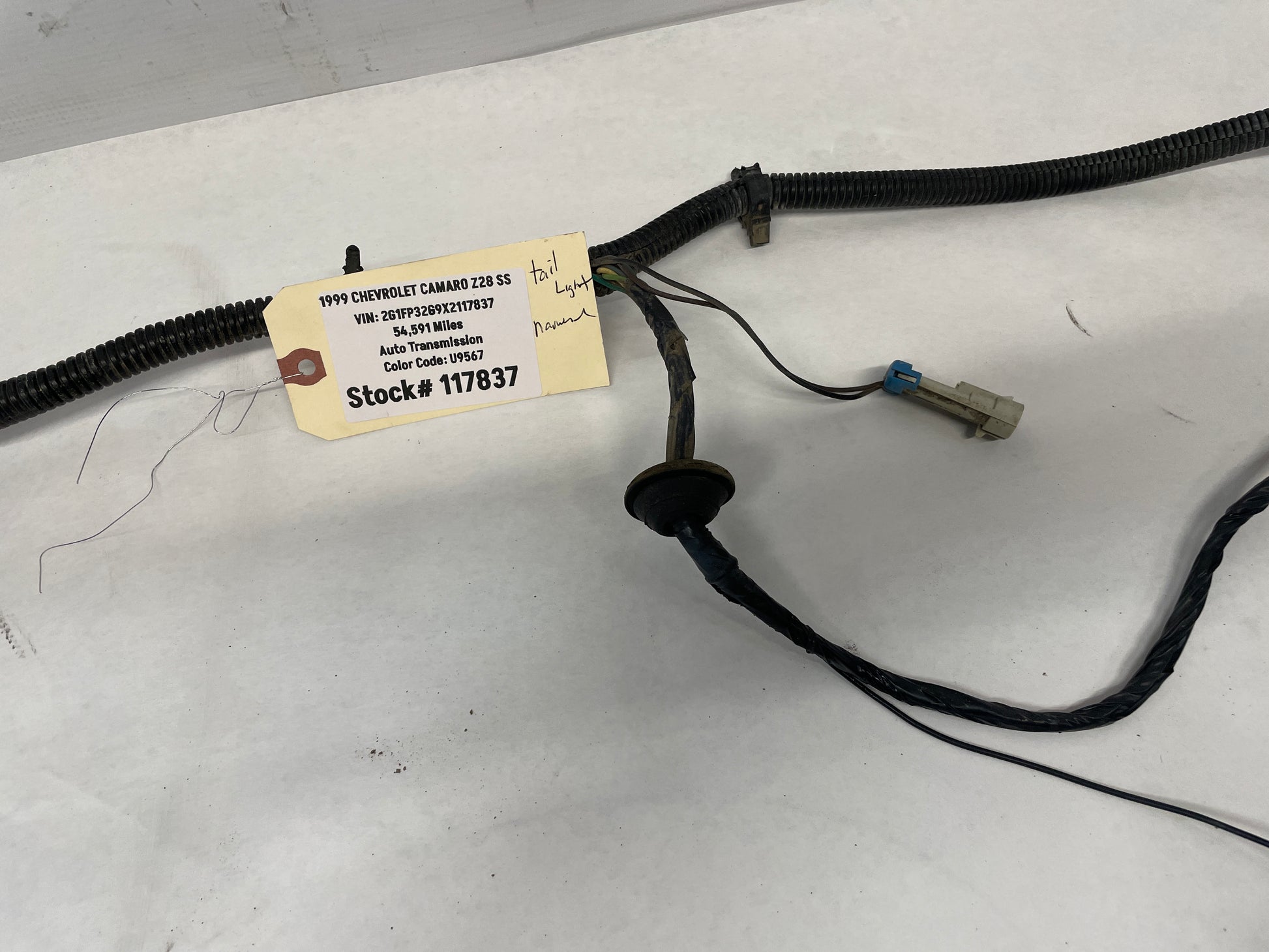 1999 Chevy Camaro Z28 SS Taillight Tail Light Wire Wiring Harness OEM - Day's Parts Yard
