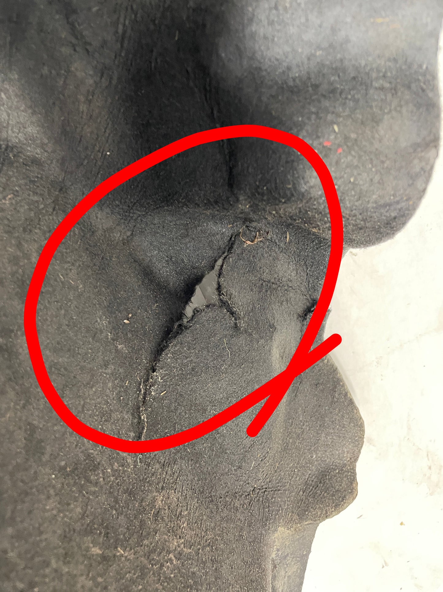 2015 Chevy SS Sedan RH Passenger Front Fender Wheel Well House Liner OEM Damaged